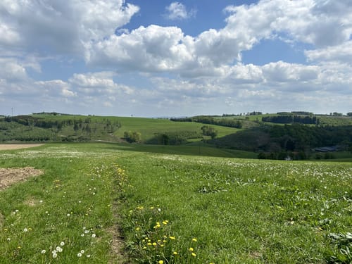 Elfenfohren - Leveringhausen - Quitmannsturm