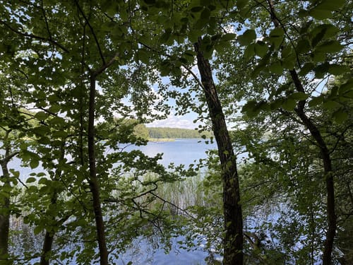 Um den Großen Wummsee