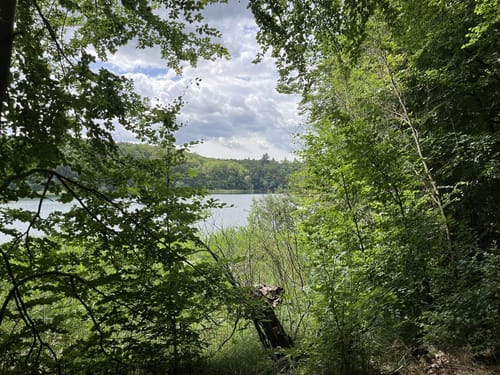 Um den Großen Wummsee