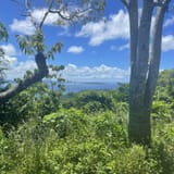 Jawbone Ridge Loop, Okinawa, Japan - 232 Reviews, Map | AllTrails