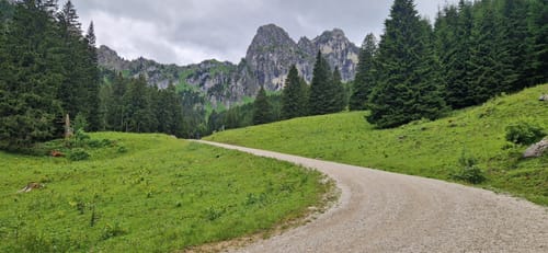 Ostlerhütte und Reichenbachklamm