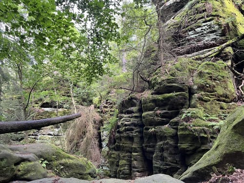 Lohmen: Über die Schwedenlöcher nach Kurort Rathen zur Bastei [CLOSED]
