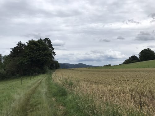 Rund um Liessem