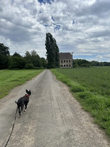 Rund um die Villa Westerberge