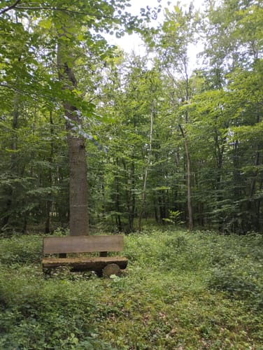 Rundwanderweg B11: Über den Rotsberg