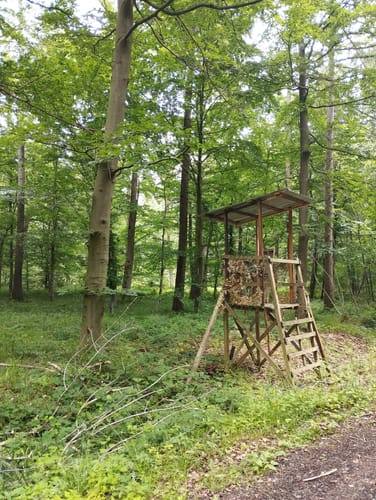 Rundwanderweg B11: Über den Rotsberg