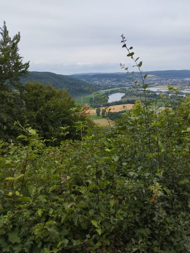 Rundwanderweg B11: Über den Rotsberg