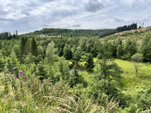 Zinser Grenzpfad (Rothaarsteigspur)