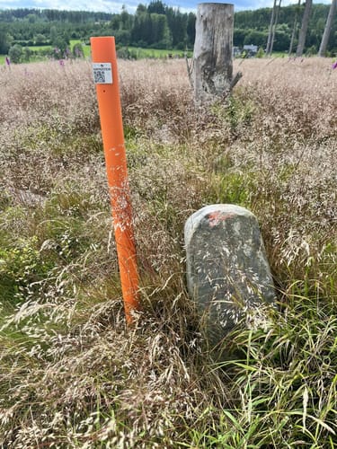 Zinser Grenzpfad (Rothaarsteigspur)