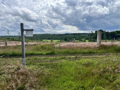 Zinser Grenzpfad (Rothaarsteigspur)