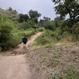 Whiting Ranch Trail, California - 1,841 Reviews, Map | AllTrails