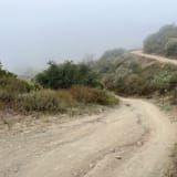 Whiting Ranch Trail, California - 1,841 Reviews, Map | AllTrails