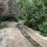 Whiting Ranch Trail, California - 1,841 Reviews, Map | AllTrails
