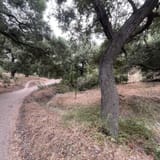 Whiting Ranch Trail, California - 1,841 Reviews, Map | AllTrails