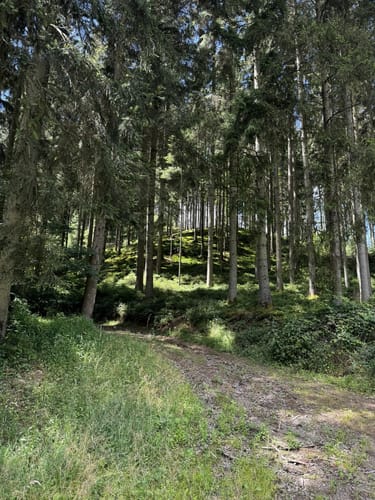 Kerpen - Wasserfall Dreimühlen (Wanderweg 15)