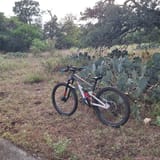 McAllister Park Blue Loop Trail -