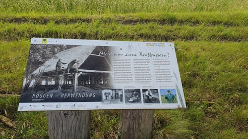 Tütsberg - Wulfsberg - Twieselmoor