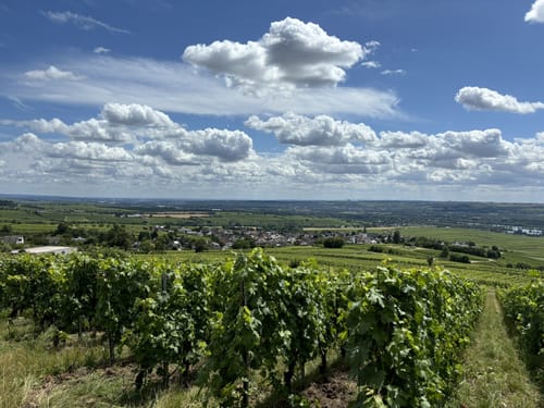 Grauer Stein ab Hallgarten
