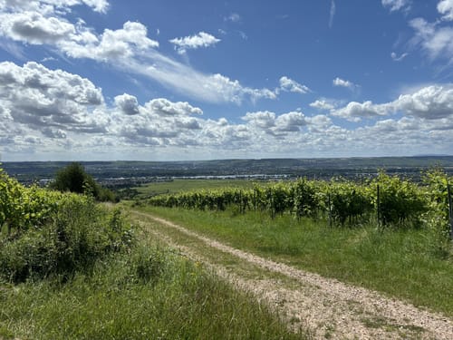 Grauer Stein ab Hallgarten