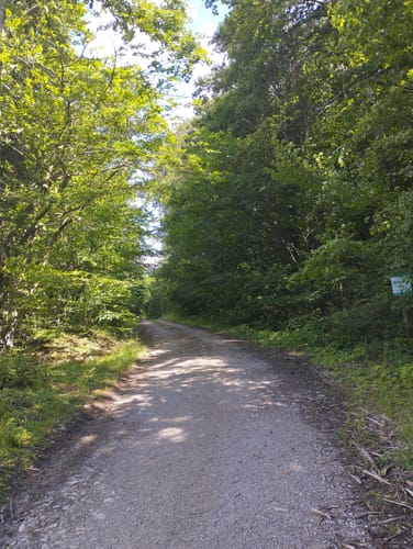 DU 5 Wiesenweg Fölziehausen