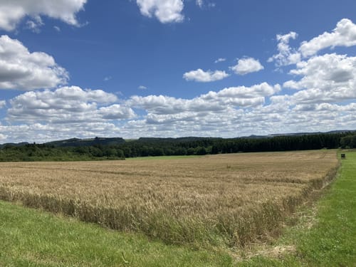 Von Antweiler zum Aremberg
