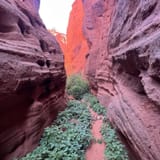 Red Rock Trail with Walatowa Slot Canyon, New Mexico - 245 Reviews, Map ...