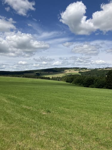Von Antweiler zum Aremberg