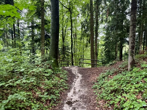 Von Bernau zur Seiseralm