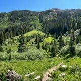 Jim Creek Trail, Colorado - 2,195 Reviews, Map | AllTrails