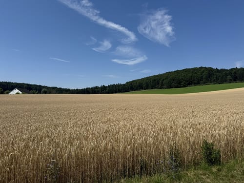 Velburg - Ratzenberg - Osterberg