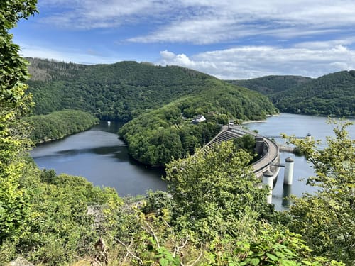 Bird Watching Runde: Von Vogelsang über die Urftseebrücke