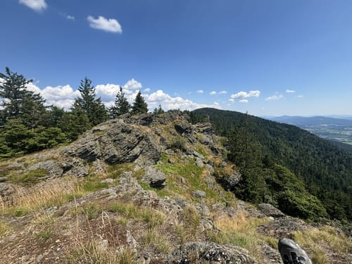 Kaitersberg Panoramaweg