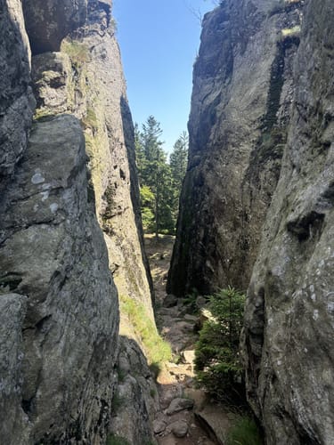 Kaitersberg Panoramaweg