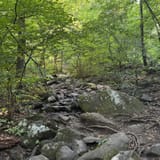 Raven Rocks via Appalachian Trail, Virginia - 6,301 Reviews, Map ...
