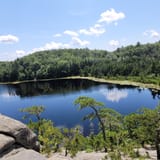 Long pond woods trail best sale