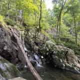Dark Hollow Falls Trail Virginia - EyJidWNrZXQiOiJhc3NldHMuYWxsdHJhaWxzLmNvbSIsImtleSI6InVwbG9hZHMvcGhvdG8vaW1hZ2UvNzk0NDczNzEvODQyM2NiZmZiYjAwY2NlMGQ0OWYxYzY4ZjE4MzgzODMuanBnIiwiZWRpdHMiOnsidG9Gb3JtYXQiOiJqcGVnIiwicmVzaXplIjp7IndpZHRoIjoxNjAsImhlaWdodCI6MTYwLCJmaXQiOiJjb3ZlciJ9LCJyb3RhdGUiOm51bGwsImpwZWciOnsidHJlbGxpc1F1YW50aXNhdGlvbiI6dHJ1ZSwib3ZlcnNob290RGVyaW5naW5nIjp0cnVlLCJvcHRpbWlzZVNjYW5zIjp0cnVlLCJxdWFudGlzYXRpb25UYWJsZSI6M319fQ==