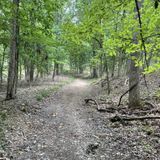 Mossy Ridge Trail Loop, Tennessee - 1,229 Reviews, Map | AllTrails