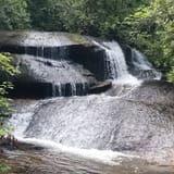Butter Gap to Cat Gap Trail, North Carolina - 508 Reviews, Map | AllTrails