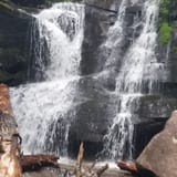 Butter Gap to Cat Gap Trail, North Carolina - 508 Reviews, Map | AllTrails