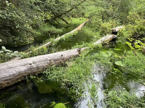 Elk Lake via Hoh River Trail Washington 175 Reviews Map AllTrails