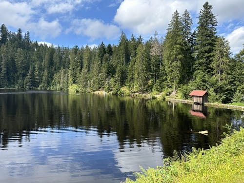 Glaswaldsee Rundwanderung