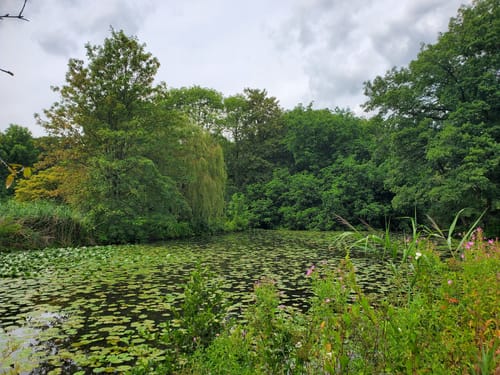 Rund um die Außenalster