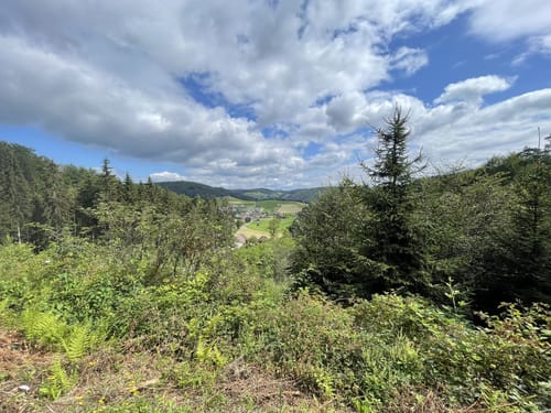 Dorf-Dobel Rundweg