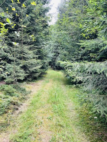 Marterlweg