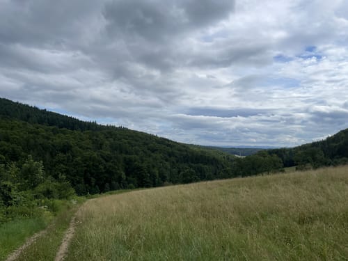 Kalkofen Lernpfad Wollbach