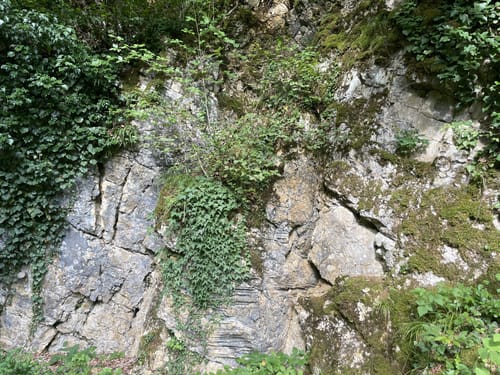 Kalkofen Lernpfad Wollbach