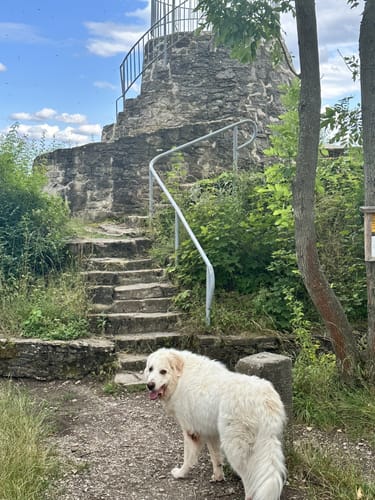 Claus-Eichel-Weg