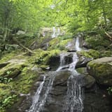 Dark Hollow Falls Trail Virginia - EyJidWNrZXQiOiJhc3NldHMuYWxsdHJhaWxzLmNvbSIsImtleSI6InVwbG9hZHMvcGhvdG8vaW1hZ2UvNzk1OTA4NTYvNzg5MGFmOTFhZGZhZTBhNWQ1YTczYTRmNGJhZjk5MTguanBnIiwiZWRpdHMiOnsidG9Gb3JtYXQiOiJqcGVnIiwicmVzaXplIjp7IndpZHRoIjoxNjAsImhlaWdodCI6MTYwLCJmaXQiOiJjb3ZlciJ9LCJyb3RhdGUiOm51bGwsImpwZWciOnsidHJlbGxpc1F1YW50aXNhdGlvbiI6dHJ1ZSwib3ZlcnNob290RGVyaW5naW5nIjp0cnVlLCJvcHRpbWlzZVNjYW5zIjp0cnVlLCJxdWFudGlzYXRpb25UYWJsZSI6M319fQ==