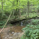 Dark Hollow Falls Trail Virginia - EyJidWNrZXQiOiJhc3NldHMuYWxsdHJhaWxzLmNvbSIsImtleSI6InVwbG9hZHMvcGhvdG8vaW1hZ2UvNzk1OTA4OTIvZjc1ZjMxZDIxZmFiOWJiZTdiMTFmZTkzNzE1NjZhNDIuanBnIiwiZWRpdHMiOnsidG9Gb3JtYXQiOiJqcGVnIiwicmVzaXplIjp7IndpZHRoIjoxNjAsImhlaWdodCI6MTYwLCJmaXQiOiJjb3ZlciJ9LCJyb3RhdGUiOm51bGwsImpwZWciOnsidHJlbGxpc1F1YW50aXNhdGlvbiI6dHJ1ZSwib3ZlcnNob290RGVyaW5naW5nIjp0cnVlLCJvcHRpbWlzZVNjYW5zIjp0cnVlLCJxdWFudGlzYXRpb25UYWJsZSI6M319fQ==