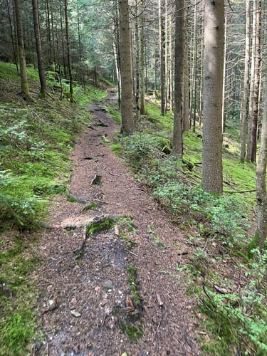 ParadiesTour Oberes Glasbachtal